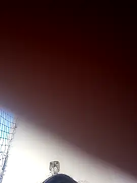 Snapshot of Donnasexy5 chatting on March 7, 2025, 8:00 pm Donnasexy5 online show from March 7, 2025, 8:00 pm