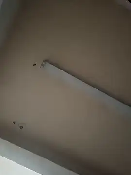 Snapshot of boyvergon chatting on January 17, 2025, 6:36 am boyvergon online show from January 17, 2025, 6:36 am