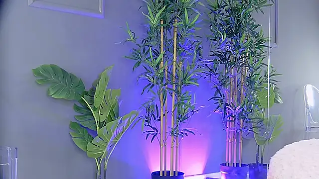 PatriciaSpice online show from October 29, 2025, 5:28 am