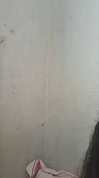 Snapshot of novinhatransexy chatting on February 11, 2025, 6:01 pm novinhatransexy online show from February 11, 2025, 6:01 pm