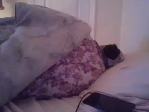 Snapshot of angeliquebelcali chatting on March 17, 2025, 6:29 am angeliquebelcali online show from March 17, 2025, 6:29 am