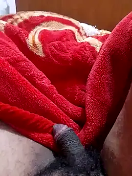 mhmia online show from January 31, 2025, 4:17 pm