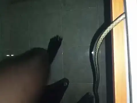 world bigdick1 online show from March 2, 2025, 6:48 am