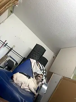 sexyhotstud12 online show from January 24, 2025, 6:25 pm