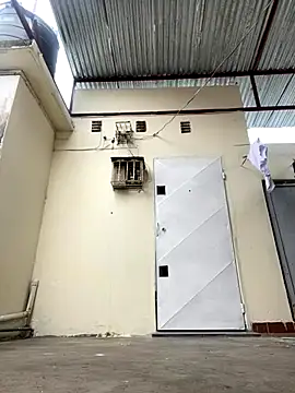 Boneca25 online show from October 27, 2025, 12:17 pm