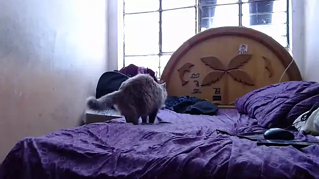 nakedlima online show from October 31, 2025, 5:20 pm