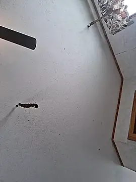 BBWLADY71 online show from March 30, 2026, 5:36 pm