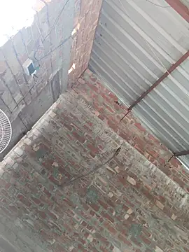 birds0641 online show from October 24, 2025, 7:51 am