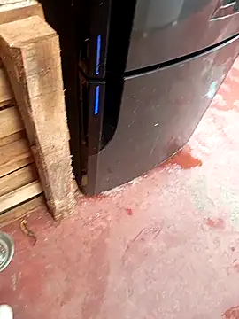 HotC1991 online show from January 12, 2026, 3:19 pm