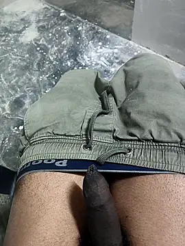 Snapshot of omni_333 chatting on January 19, 2026, 4:33 pm omni 333 online show from January 19, 2026, 4:33 pm