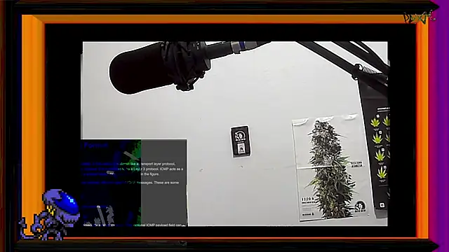 ReyDeBotones online show from March 13, 2025, 11:38 pm