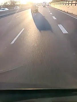 Dam70 online show from December 4, 2025, 2:49 pm