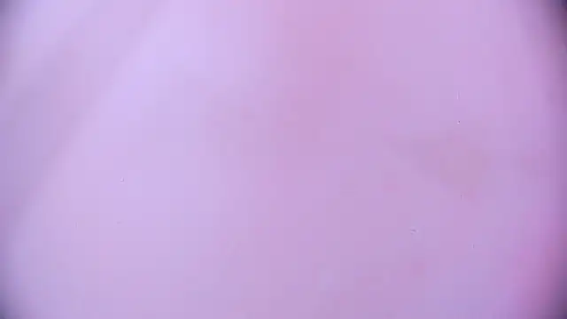Snapshot of Ashlyaurora chatting on March 11, 2025, 7:35 am Ashlyaurora online show from March 11, 2025, 7:35 am