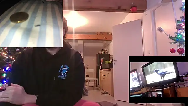 Mastersanges online show from December 15, 2025, 6:36 pm