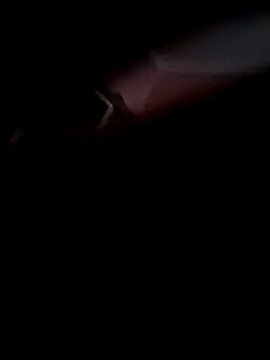 Arabian online show from November 8, 2025, 10:08 am