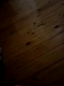 Arabian online show from February 14, 2025, 12:41 am