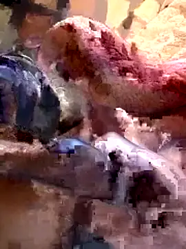 Snapshot of 26menny74 chatting on November 7, 2025, 12:15 am 26menny74 online show from November 7, 2025, 12:15 am