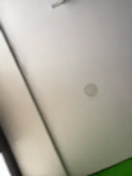 Dulce  Boyd online show from February 17, 2026, 2:03 pm