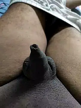 Tamil small cock online show from October 6, 2025, 6:03 am