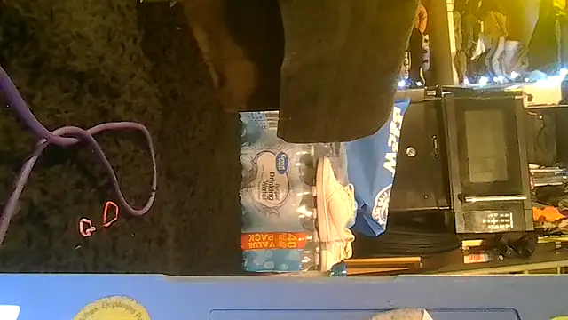 ShysluutGia online show from February 4, 2026, 7:47 am