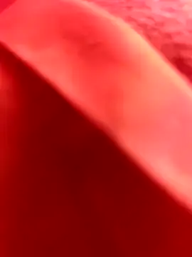 Nahuel141414 online show from February 25, 2026, 11:10 am