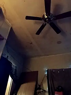 Snapshot of birdg chatting on October 31, 2025, 3:41 pm birdg online show from October 31, 2025, 3:41 pm