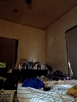 Snapshot of birdg chatting on November 17, 2025, 4:55 pm birdg online show from November 17, 2025, 4:55 pm