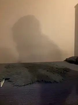 Snapshot of Budibudi5 chatting on November 19, 2025, 4:56 am Budibudi5 online show from November 19, 2025, 4:56 am