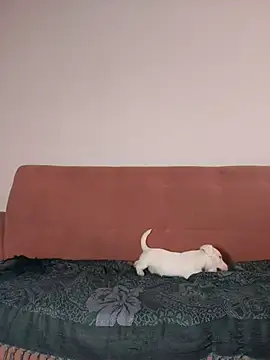 Jehan Soto online show from September 9, 2025, 5:11 pm