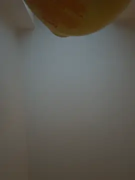 Snapshot of Bleueyez007 chatting on February 10, 2026, 4:28 pm Bleueyez007 online show from February 10, 2026, 4:28 pm