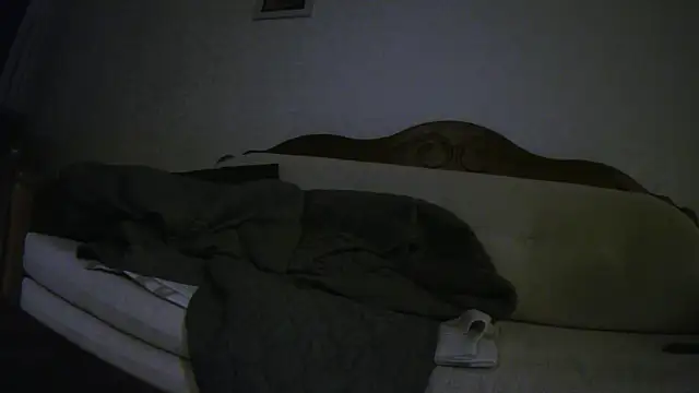 Snapshot of Teemu chatting on March 19, 2026, 2:33 am Teemu online show from March 19, 2026, 2:33 am