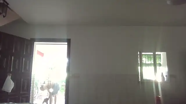 llopaco online show from July 1, 2026, 11:54 am