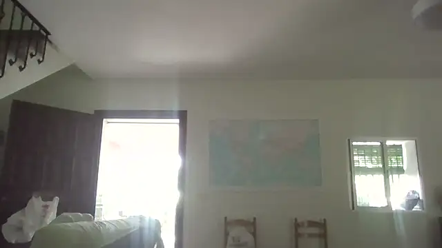 llopaco online show from July 11, 2026, 12:38 pm