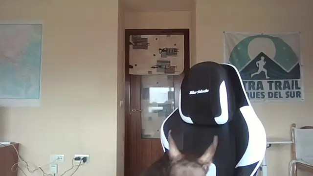 llopaco online show from April 12, 2026, 9:01 am