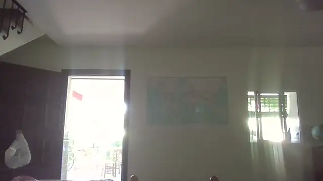 llopaco online show from July 4, 2026, 1:59 pm