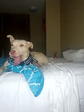 KingSlim56 online show from December 18, 2025, 2:05 am