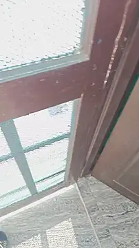 HorNy Bro Sis online show from November 1, 2025, 7:13 am