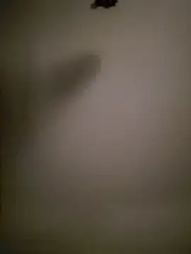 Mrnutella online show from March 3, 2025, 2:22 am