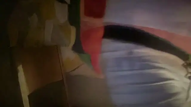 Snapshot of DominantDong chatting on February 7, 2026, 8:11 am DominantDong online show from February 7, 2026, 8:11 am