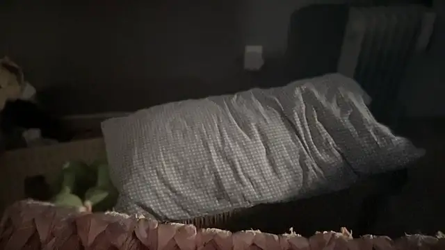 Snapshot of DominantDong chatting on March 9, 2025, 11:56 pm DominantDong online show from March 9, 2025, 11:56 pm