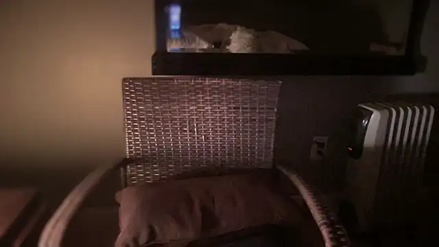 Snapshot of DominantDong chatting on February 28, 2025, 11:25 am DominantDong online show from February 28, 2025, 11:25 am