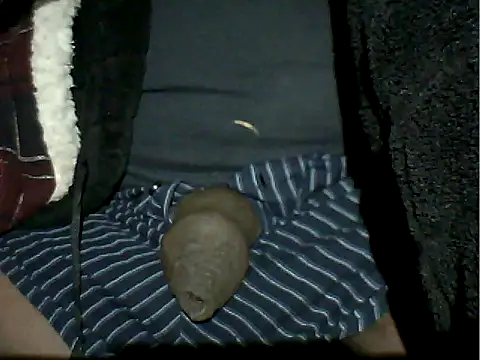 Mthondo-qinile online show from November 19, 2025, 8:42 pm