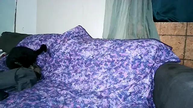 donut024 online show from March 10, 2026, 1:15 pm