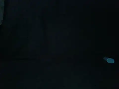 Snapshot of BibicaBibica1 chatting on February 21, 2025, 1:11 pm BibicaBibica1 online show from February 21, 2025, 1:11 pm