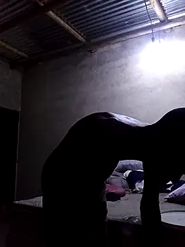 lilpip online show from February 12, 2026, 7:13 pm