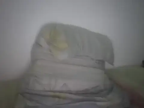 Snapshot of Brian_lumper01 chatting on February 23, 2025, 12:08 am Brian lumper01 online show from February 23, 2025, 12:08 am