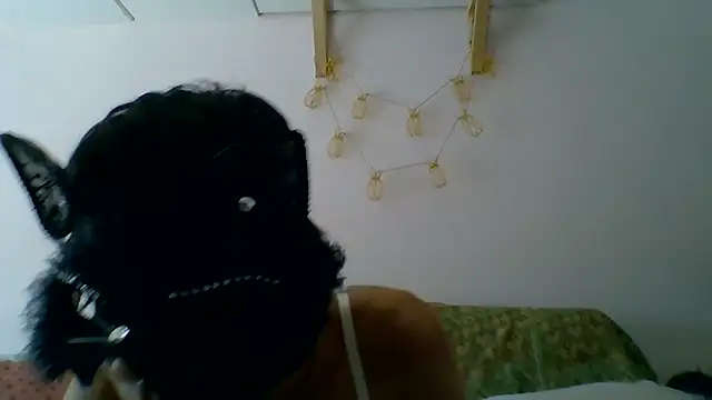 kittysissy online show from July 31, 2026, 2:26 pm