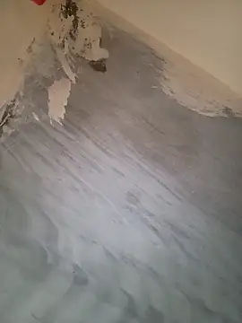 heena-3678 online show from September 24, 2025, 1:50 pm