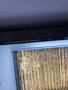 Madisson-Rivas online show from November 13, 2025, 6:12 pm