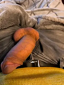 Snapshot of bavaricus123 chatting on March 16, 2025, 1:27 pm bavaricus123 online show from March 16, 2025, 1:27 pm